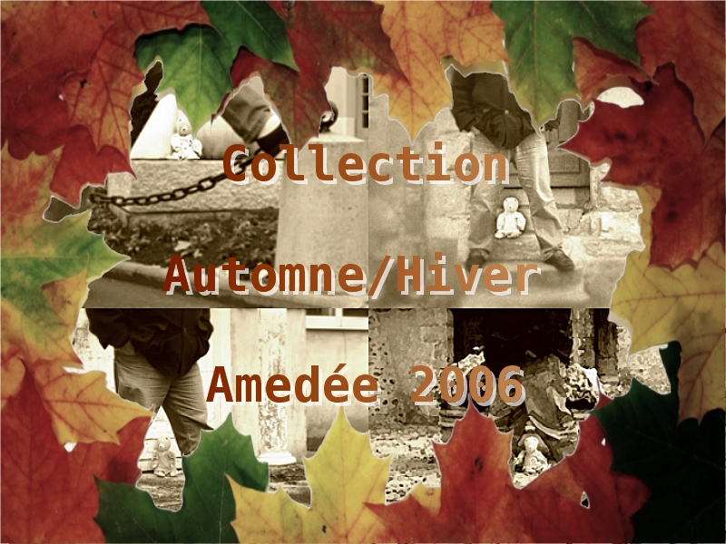 Couverture (cliquer dans la photo pour faire tourner la page)