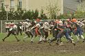 20110403_171242_446