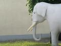 elephant elephant002