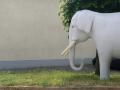 elephant elephant006