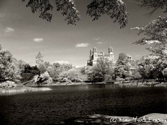 nyc_noir_et_blanc: central_parc_3