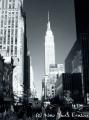 nyc_noir_et_blanc esb_2